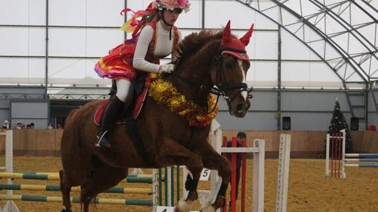 Главная картинка новости: В Новороссийске пройдут соревнования по конному спорту на призы Деда Мороза