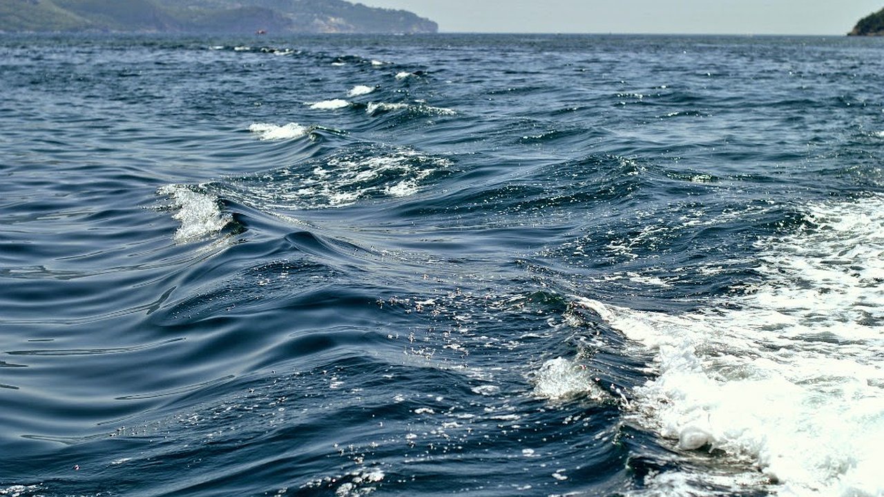 Главная картинка новости: Названы пляжи и водоемы Новороссийска, где нельзя купаться