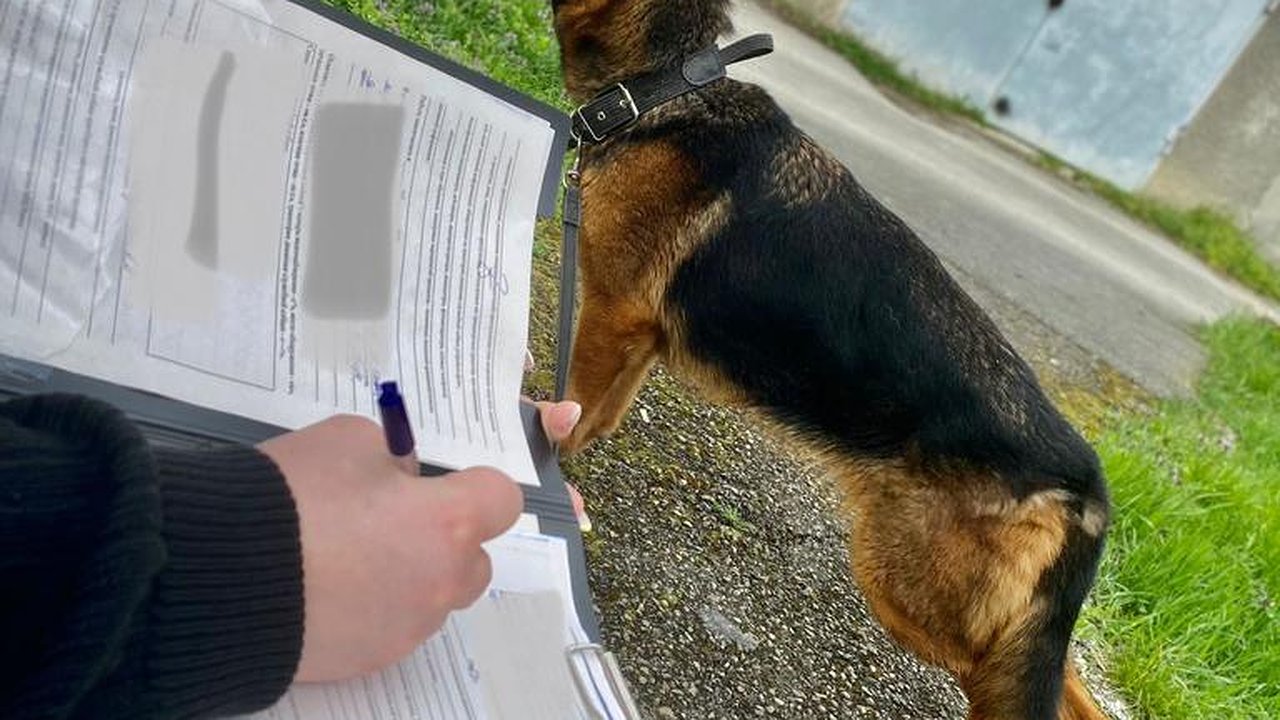 Главная картинка новости: Новороссийцу грозит 5 лет тюрьмы за кражу чугунных батарей