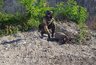 Миниатюра новости: Власти сообщили о ликвидации авиабомбы, которую нашли в центре Новороссийска