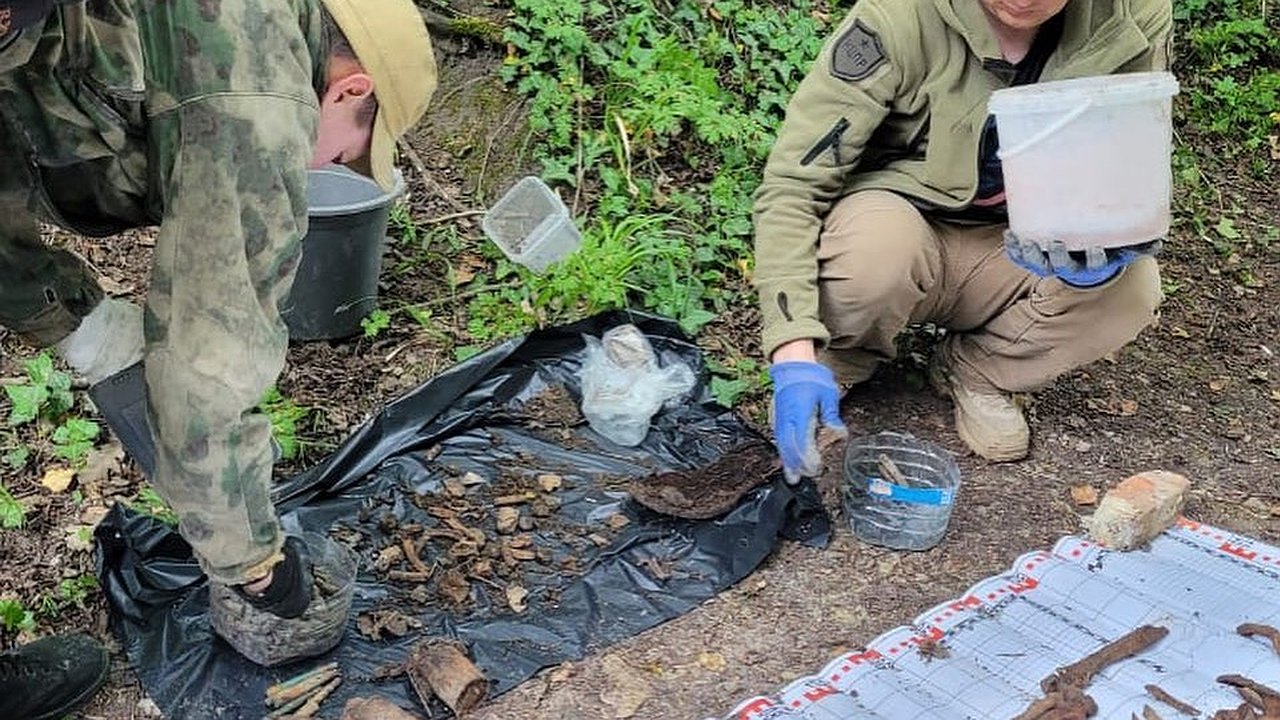 Главная картинка новости: Останки бойцов, гранаты и патроны: под Новороссийском поисковики нашли находки времен ВОВ