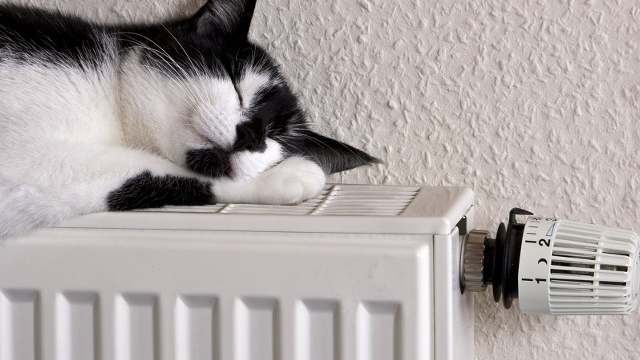 Главная картинка новости: Власти Новороссийска продлили отопительный сезон до 15 апреля