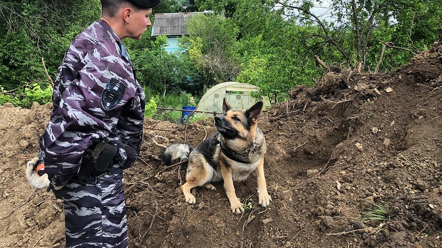 Главная картинка новости: В пригороде Новороссийска на стройке нашли 38 снарядов