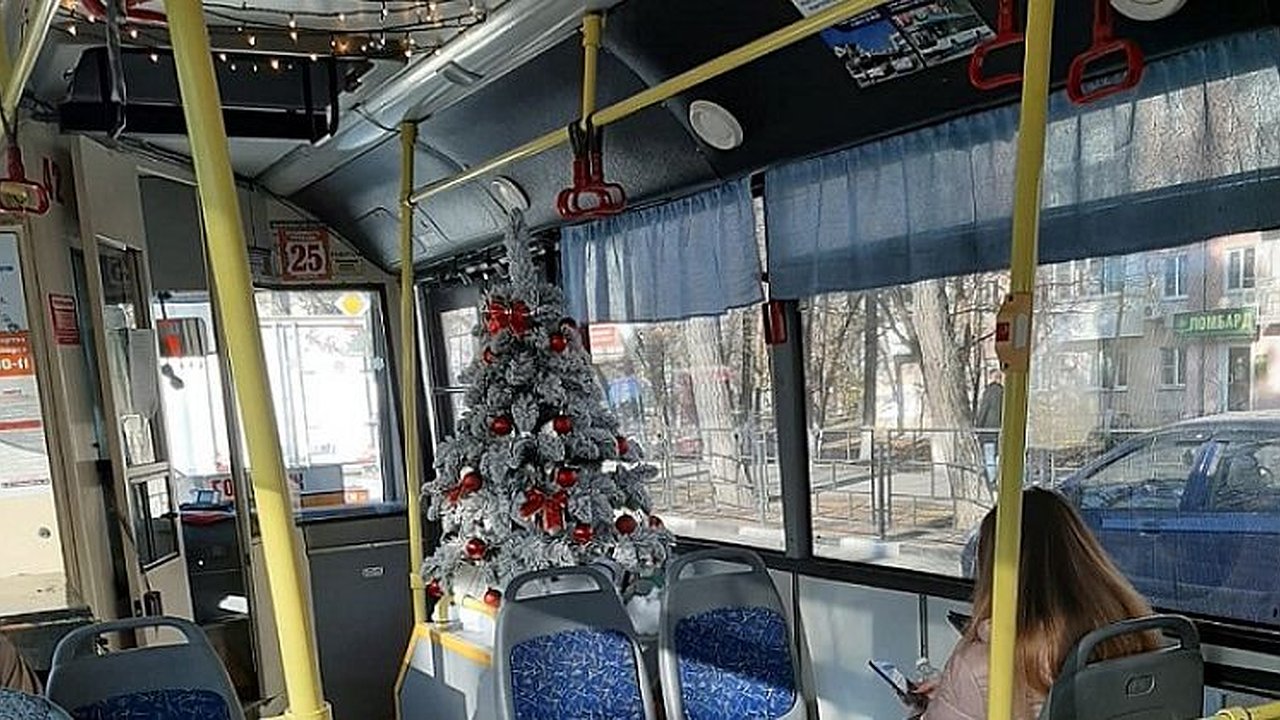 Главная картинка новости: Проезд в троллейбусах Новороссийска подорожает до 30 рублей