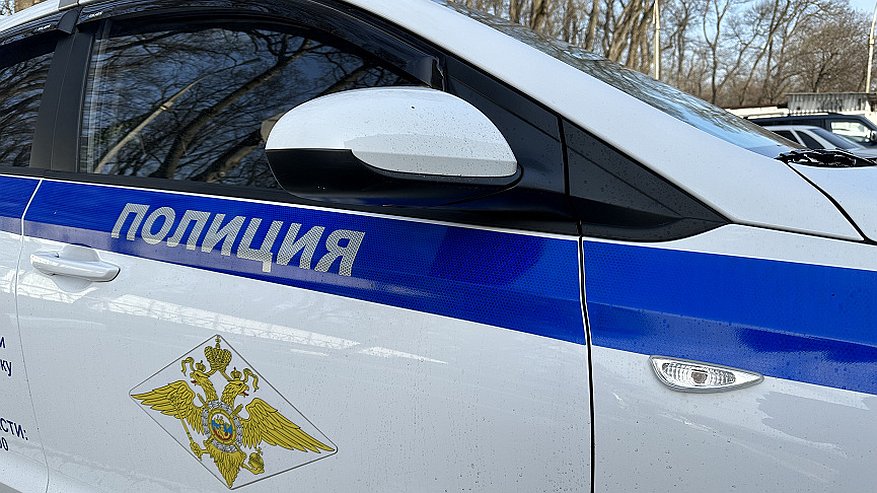 Главная картинка новости: Перед судом предстанет новороссиец за кражу денег с продажи чужого авто