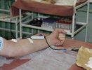 В Новороссийске проведут акцию по привлечению доноров костного мозга для онкобольных