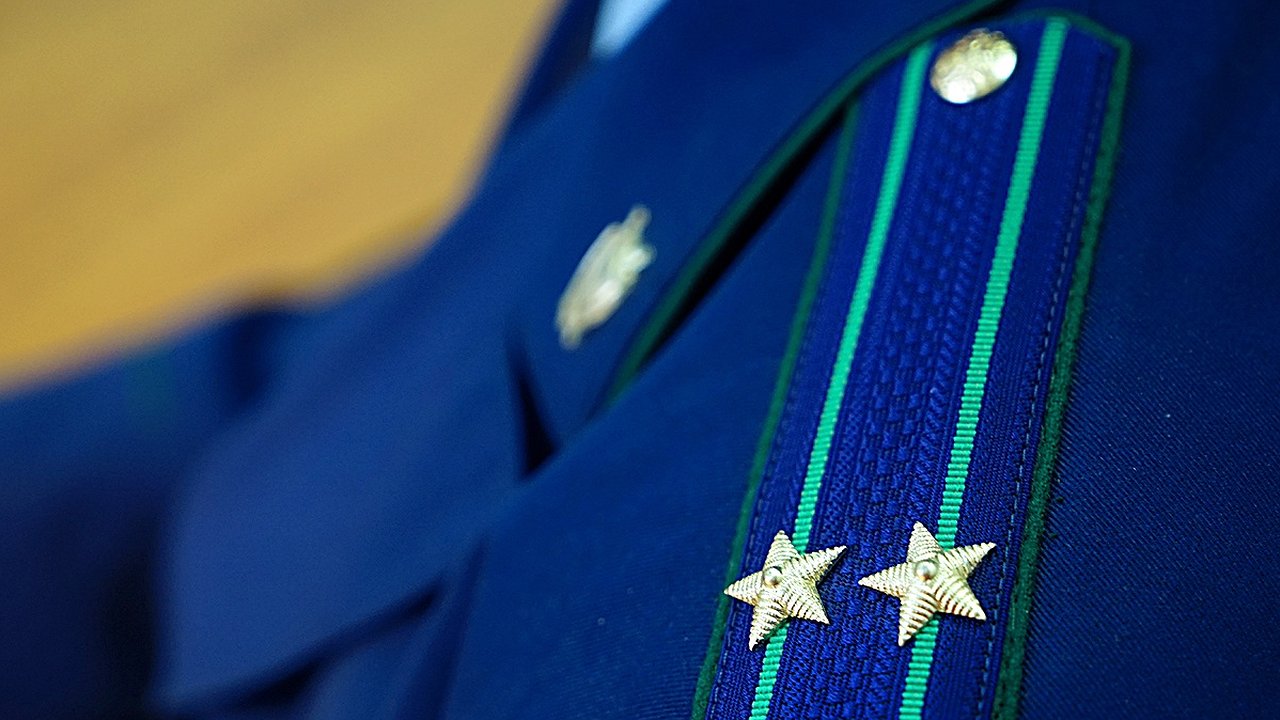 Главная картинка новости: В Новороссийске вандалы срубили деревья на более чем 400 тысяч