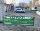 Где сдать новогоднюю елку на переработку в Новороссийске?