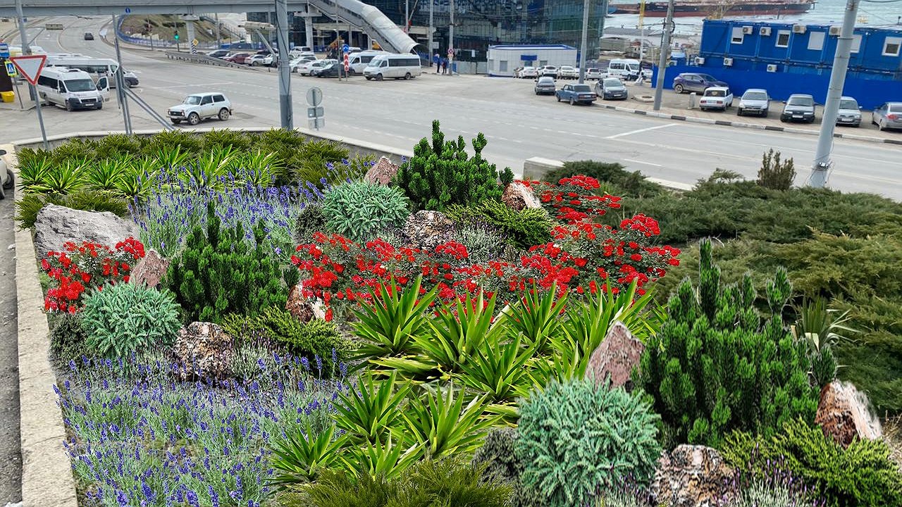 Главная картинка новости: На улицах Новороссийска появятся новые клумбы с жимолостью, барбарисом и злаками