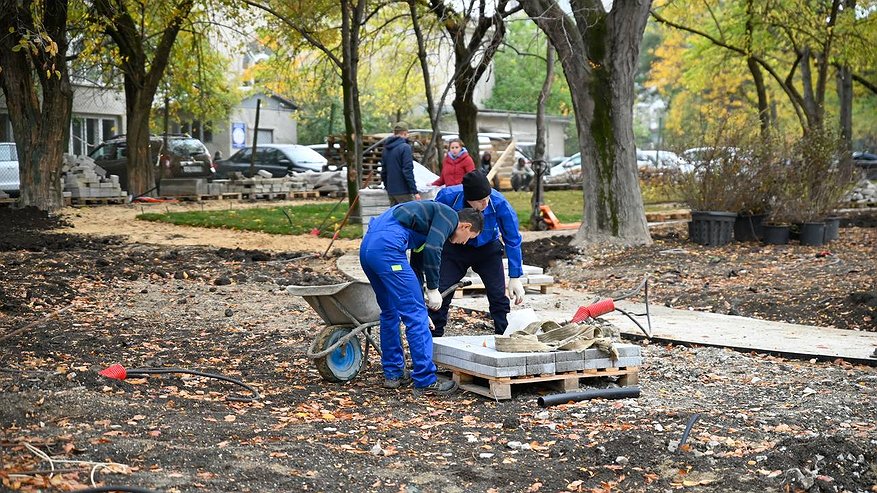 Главная картинка новости: На следующей неделе в Новороссийске запустят рыбок в пруд парка Фрунзе