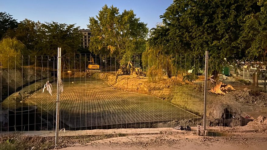Главная картинка новости: Черепашек выселили из пруда в парке Фрунзе в Новороссийске