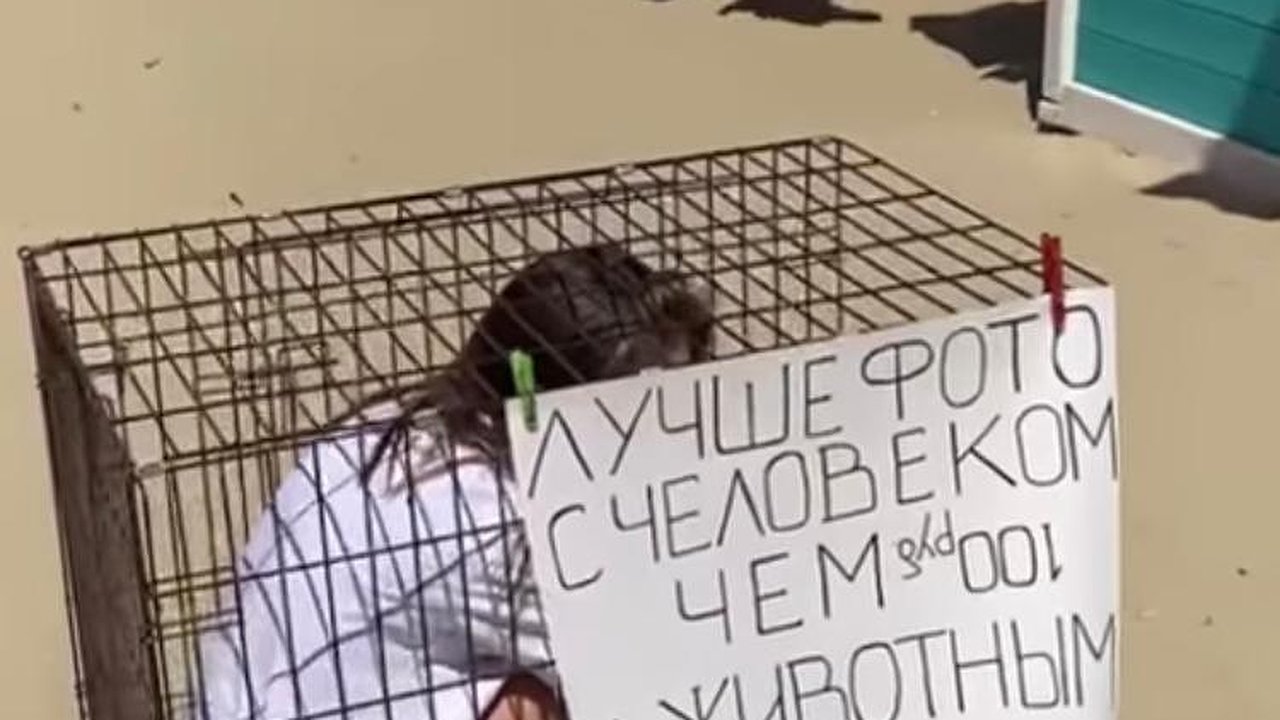 Главная картинка новости: «Не хотите сфотографироваться с человеком в клетке?» В Анапе провели перфоманс в защиту животных