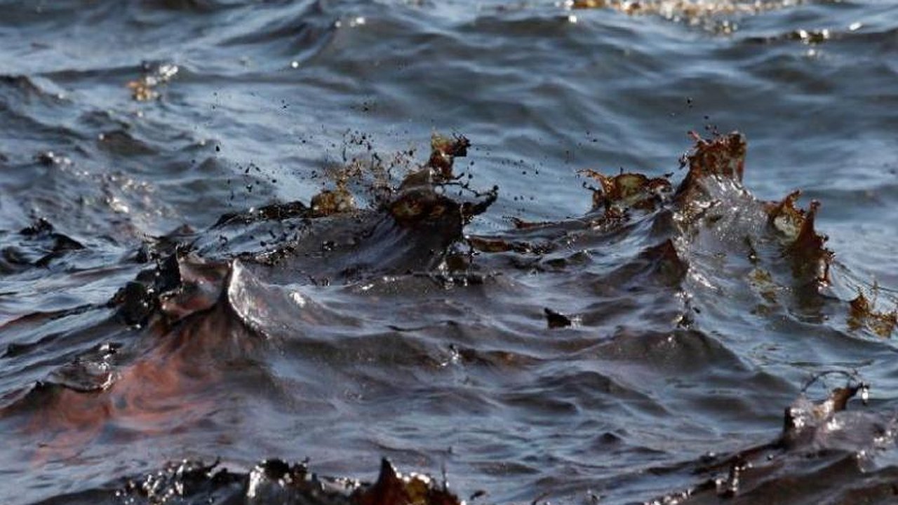 Главная картинка новости: В порту Новороссийска разлив масляного пятна достиг более 300 квадратных метров