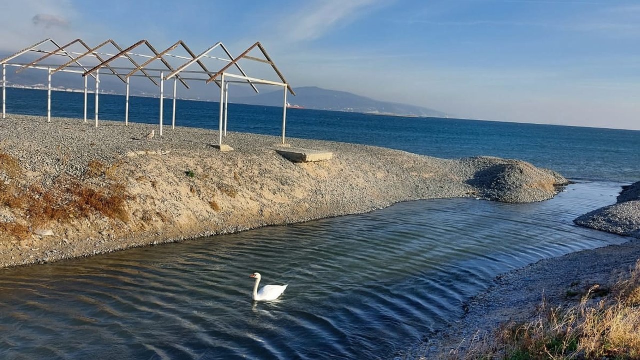 Главная картинка новости: На пляже Алексино в Новороссийске вновь недосчитались «народной лопаты»