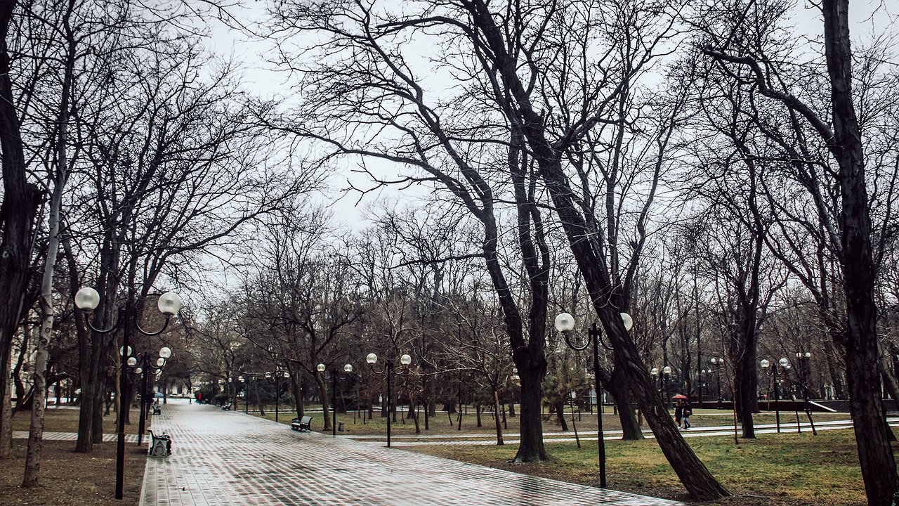 Главная картинка новости: Жители Новороссийска смогут сами выбирать зоны для благоустройства в онлайн-голосовании