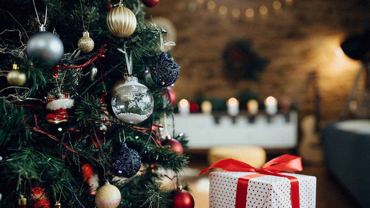 Главная картинка новости: Жители Новороссийска поздравляют с Новым 2023 годом!