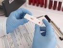 В Новороссийске за неделю выявили 77 заболеваний COVID-19