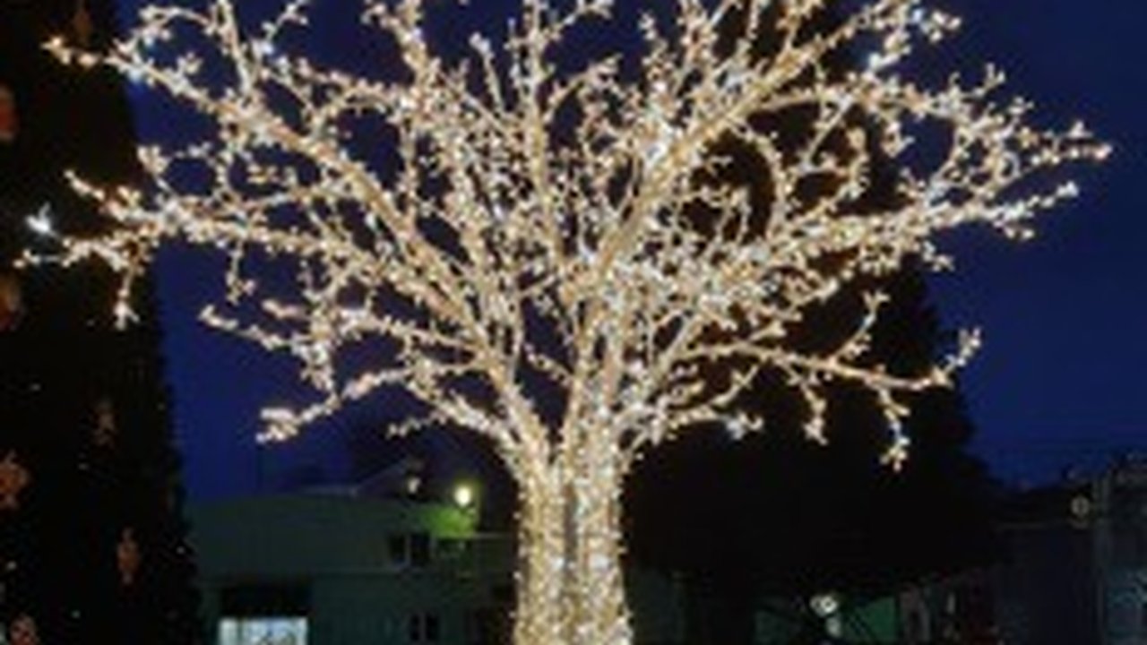 Главная картинка новости: 5-метровые искусственные деревья, светящаяся балерина и мерцающие шары украсят Новороссийск