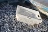 Миниатюра новости: На прилавках Новороссийска появилась первая свежая хамса