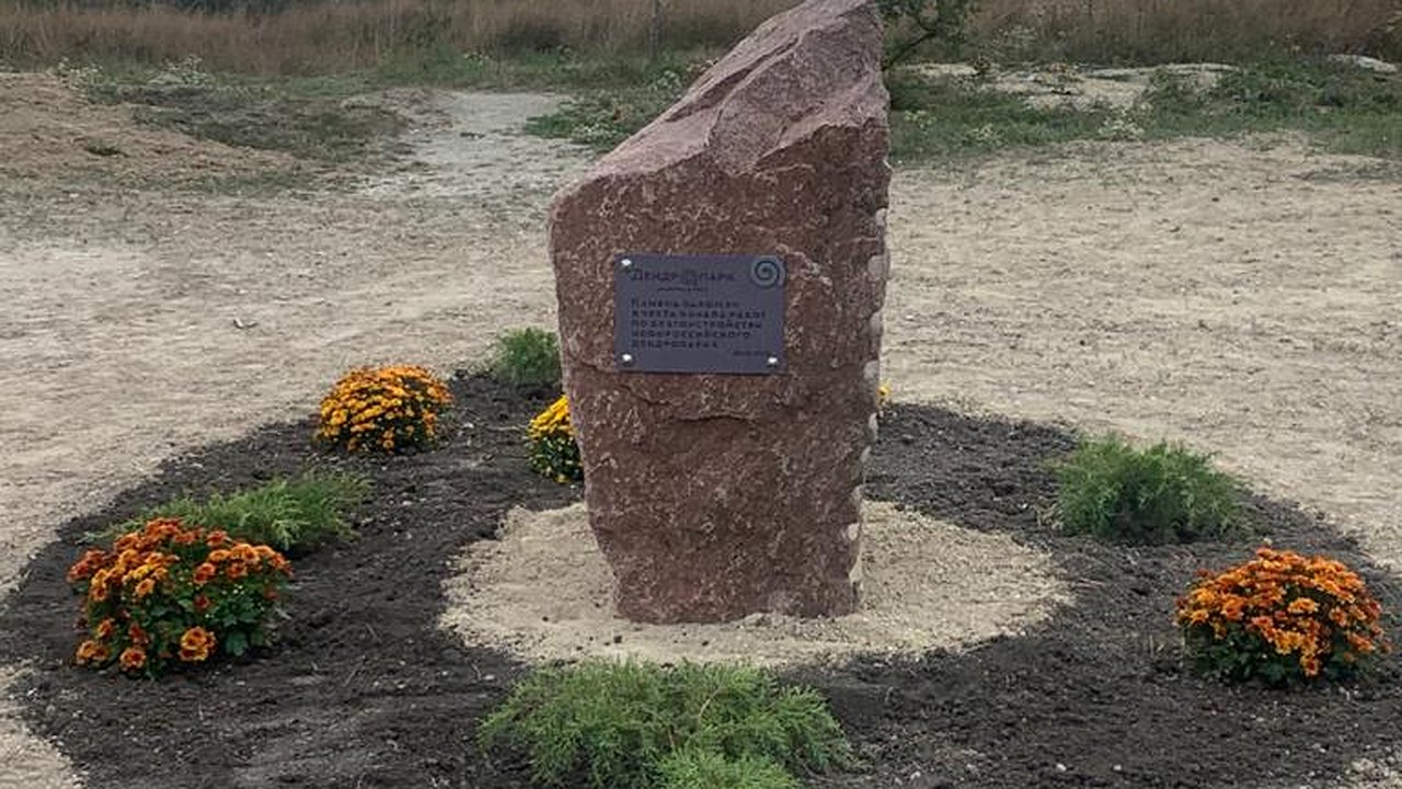 Главная картинка новости: В Дендропарке Новороссийска высадят мяту и мелиссу