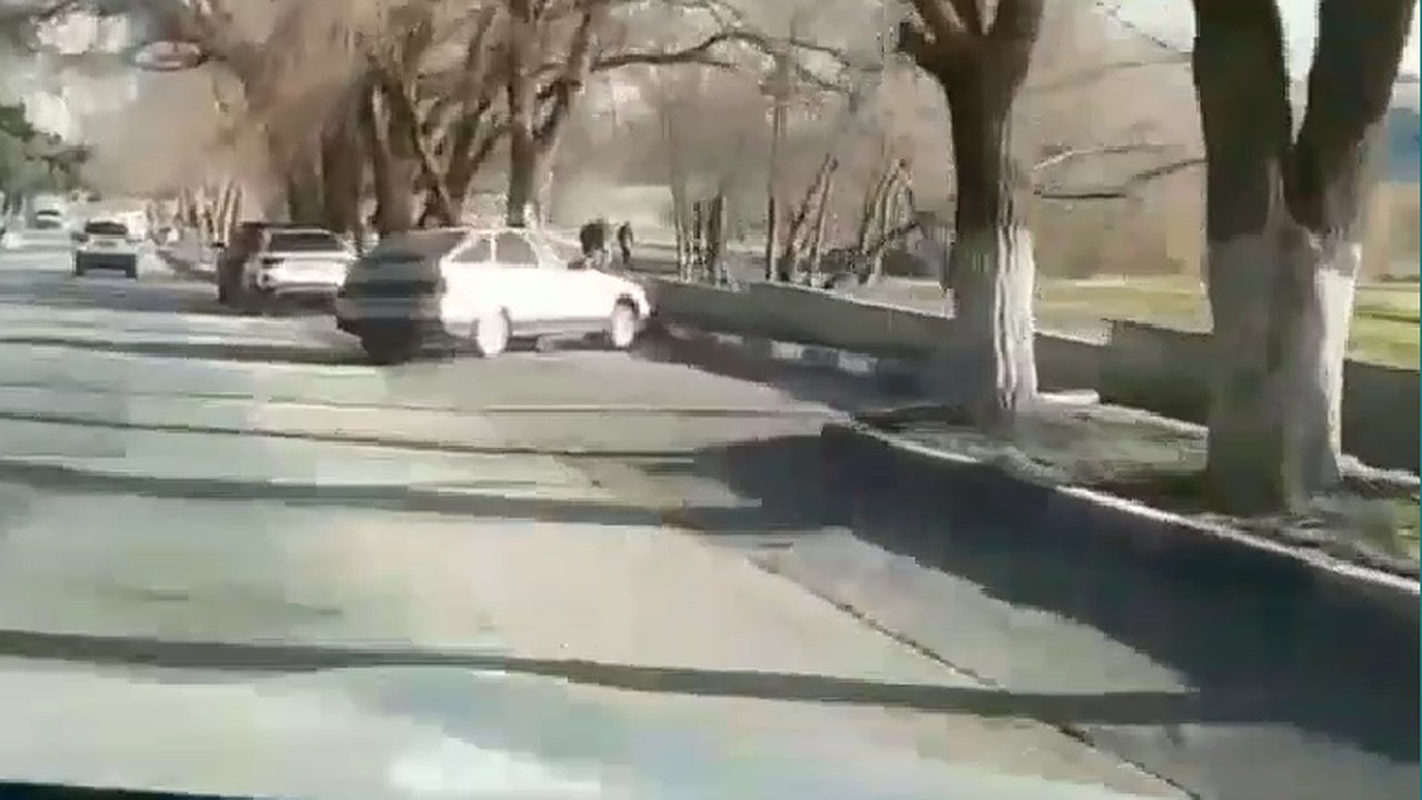 Главная картинка новости: Вырубку деревьев у Южных прудов Новороссийска обсудят публично