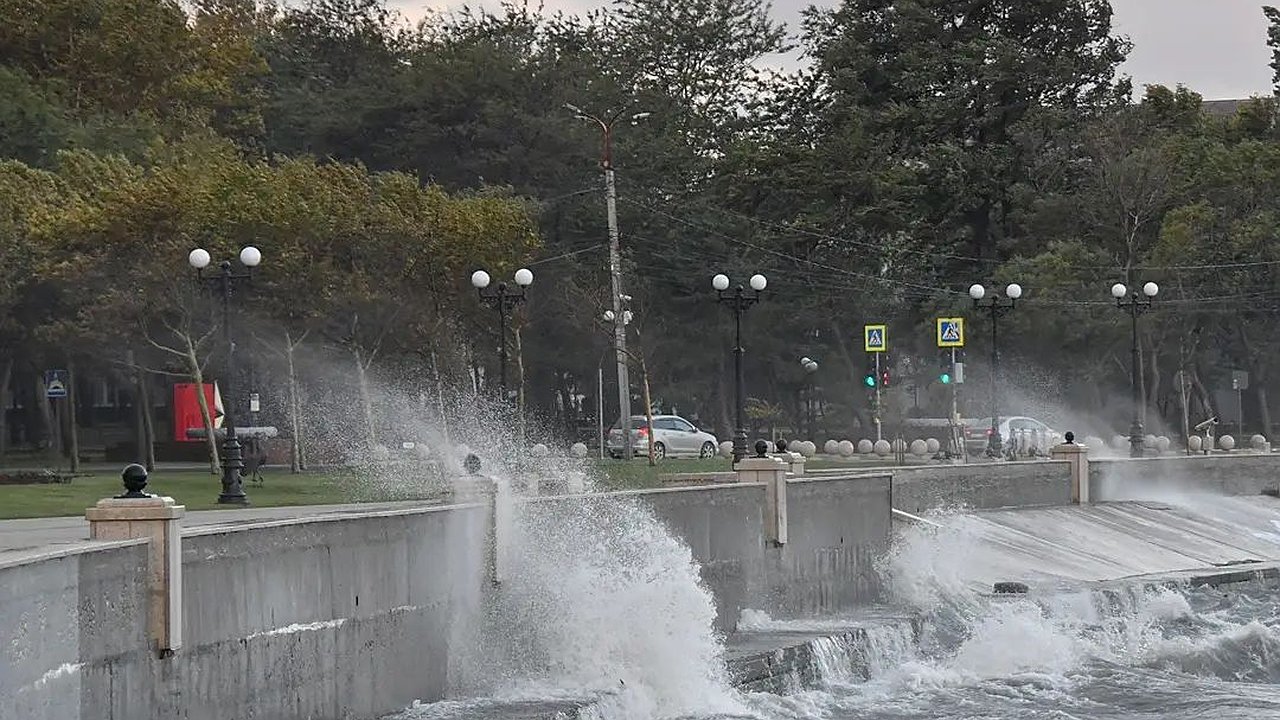 Главная картинка новости: На Новороссийск обрушился первый осенний норд-ост. Что за ночь натворил ветер?