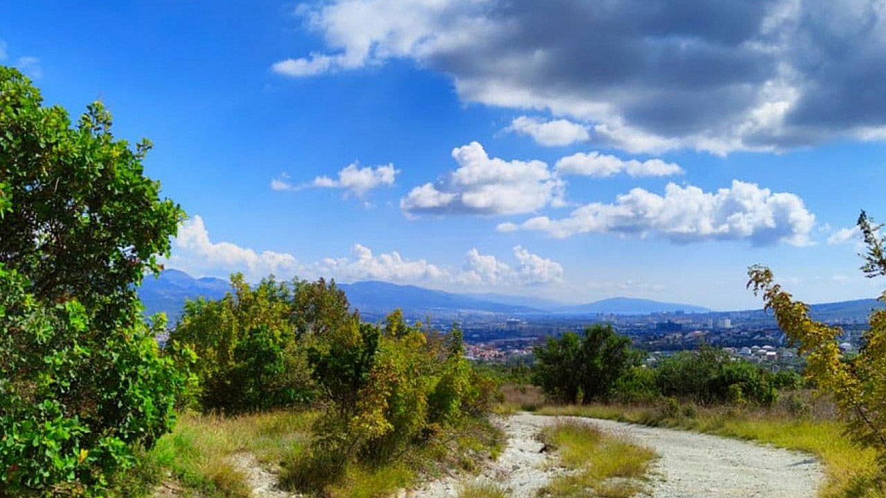 Главная картинка новости: Новая дорога на мусорный полигон в пригороде Новороссийска появится не раньше 2022 года