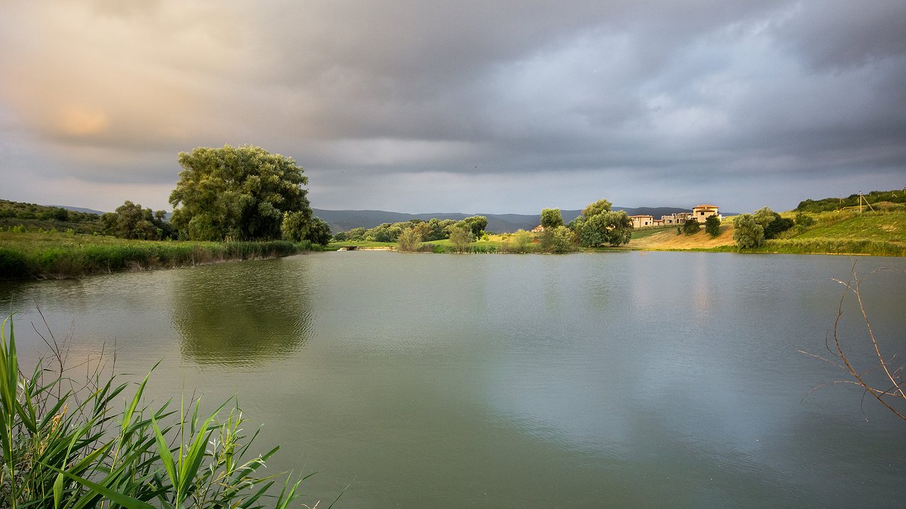 Главная картинка новости: Под Новороссийском на берегу реки незаконно располагалось поле для гольфа