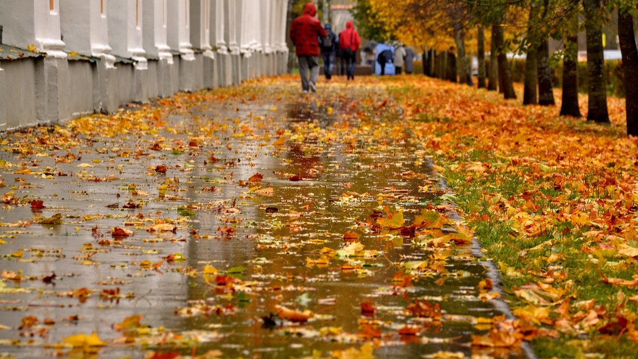 Главная картинка новости: Синоптики снова обещают дожди на Кубани