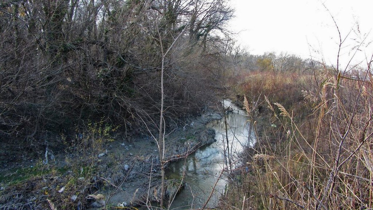 Главная картинка новости: Власти Новороссийска ввели режим повышенной готовности