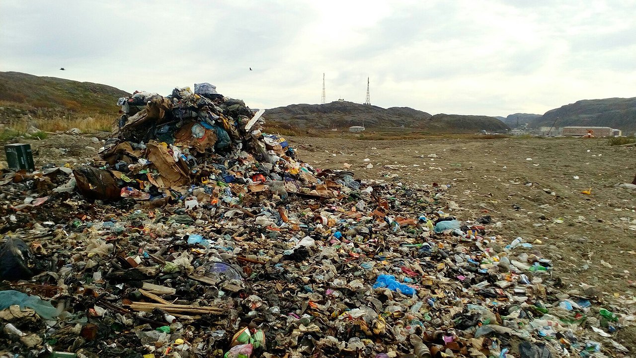 Главная картинка новости: Под Новороссийском рекультивируют мусорный полигон