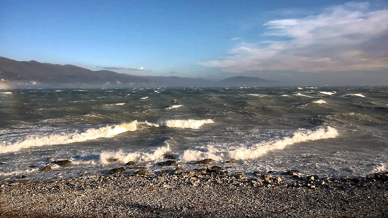 Главная картинка новости: Ветер крепчает! До 11 октября в Новороссийске введен режим повышенной готовности