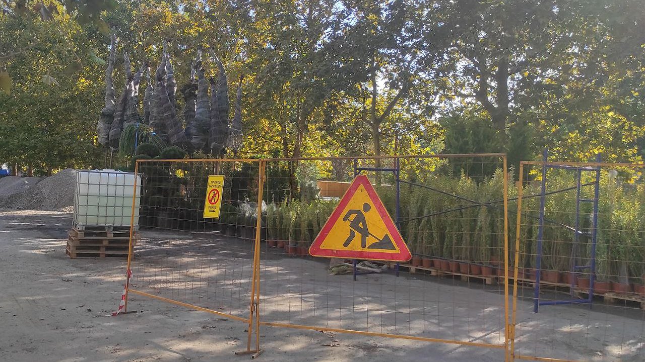 Главная картинка новости: В новороссийский сквер Чайковского привезли деревья и кусты