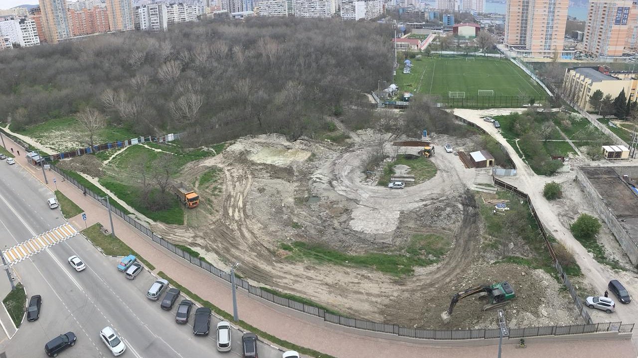 Главная картинка новости: Эковахта выступила в защиту Пионерской рощи Новороссийска от строительства детсада