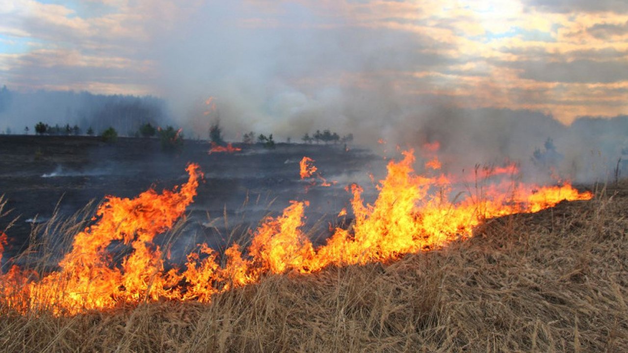 Главная картинка новости: В Новороссийске сохраняется высокая пожароопасность