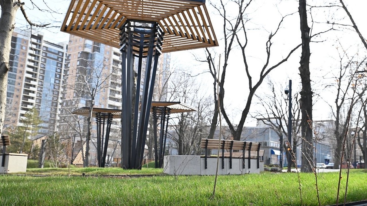 Главная картинка новости: Весной новороссийцы проголосуют за зеленую зону, которую благоустроят в 2024 году