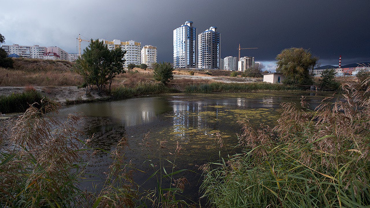 Главная картинка новости: Южные пруды или сквер на Видова: новороссийцы выберут зеленую зону для благоустройства