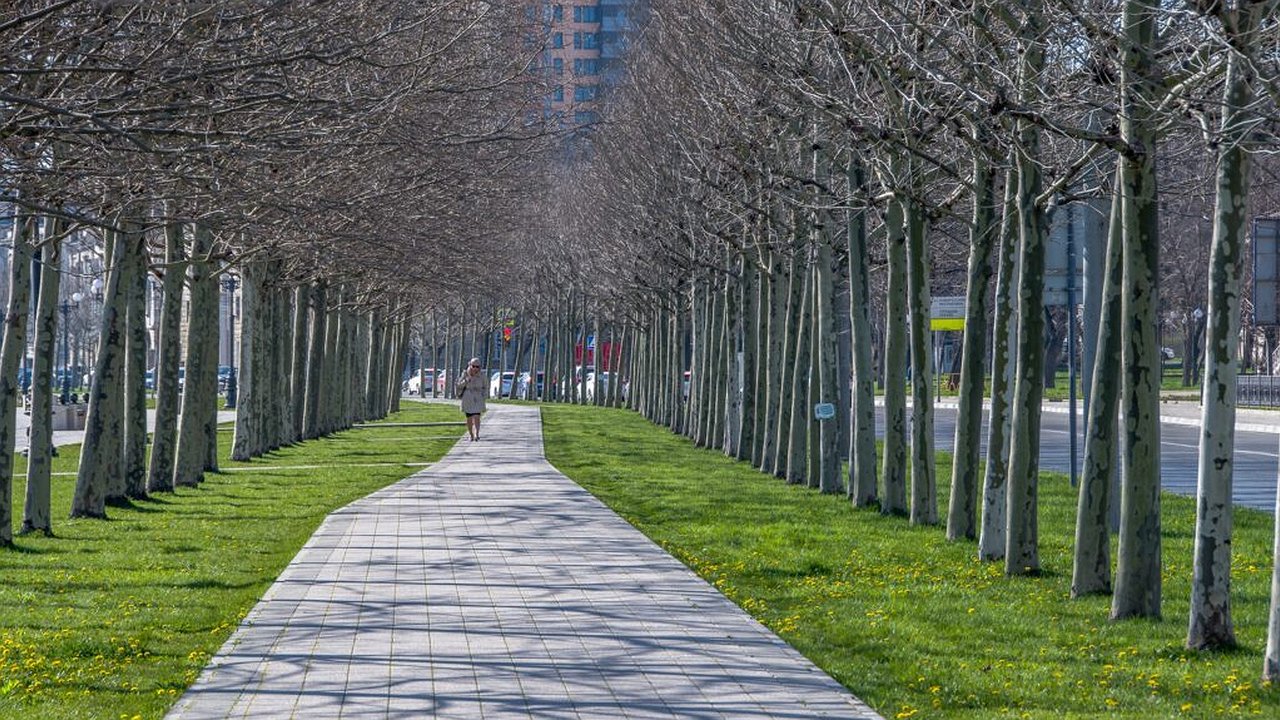 Главная картинка новости: На выходных в Новороссийске температура воздуха поднимется до +20 градусов