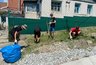 Миниатюра новости: В Новороссийске появились волонтерские группы помощи пенсионерам