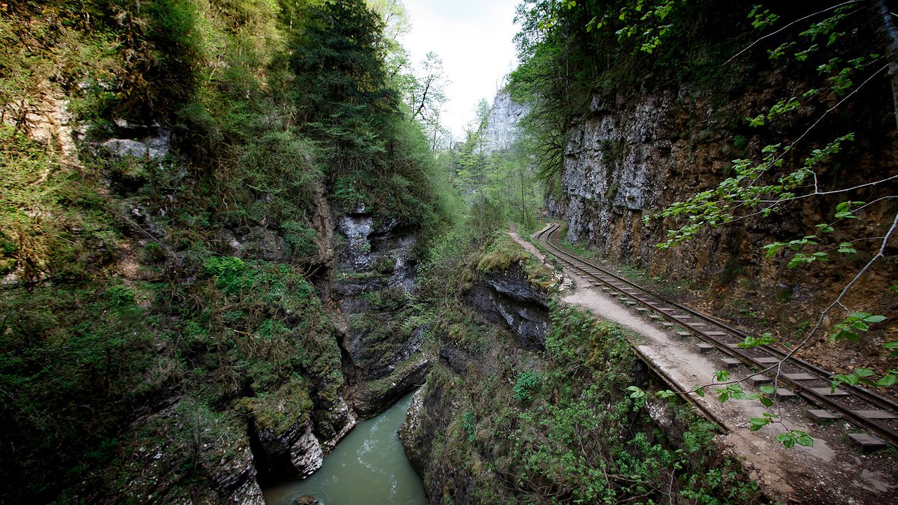Главная картинка новости: Губернатор предложил жителям Кубани принять участие во флешмобе. В каком?