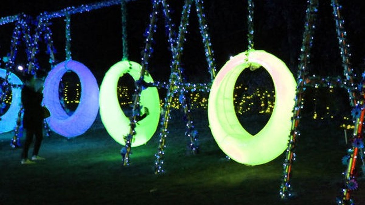 Главная картинка новости: В Южном районе Новороссийска появятся светодиодные качели