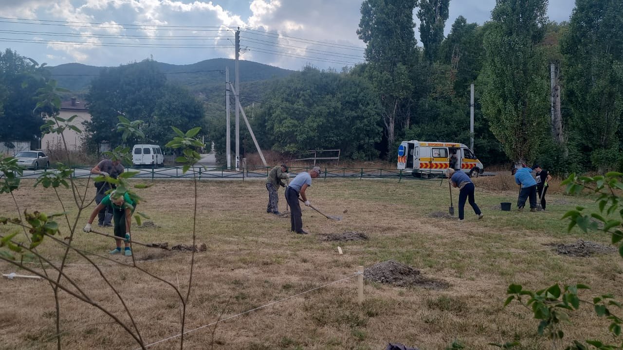 Главная картинка новости: На территории Новороссийска посадят 185 новых деревьев