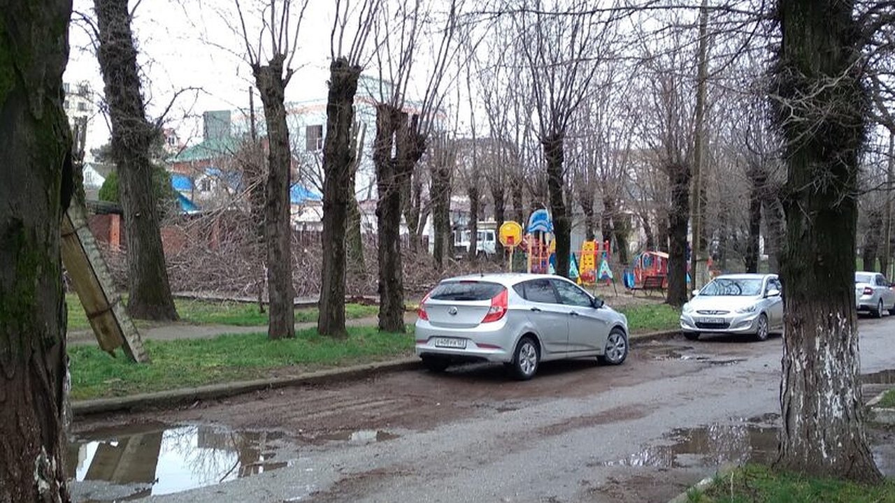 Главная картинка новости: 17 акаций – под сруб. В Новороссийске урезают еще одну аллею