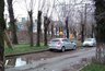 Миниатюра новости: 17 акаций – под сруб. В Новороссийске урезают еще одну аллею