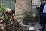 Миниатюра новости: Новороссийка нашла в своем огороде останки времен войны