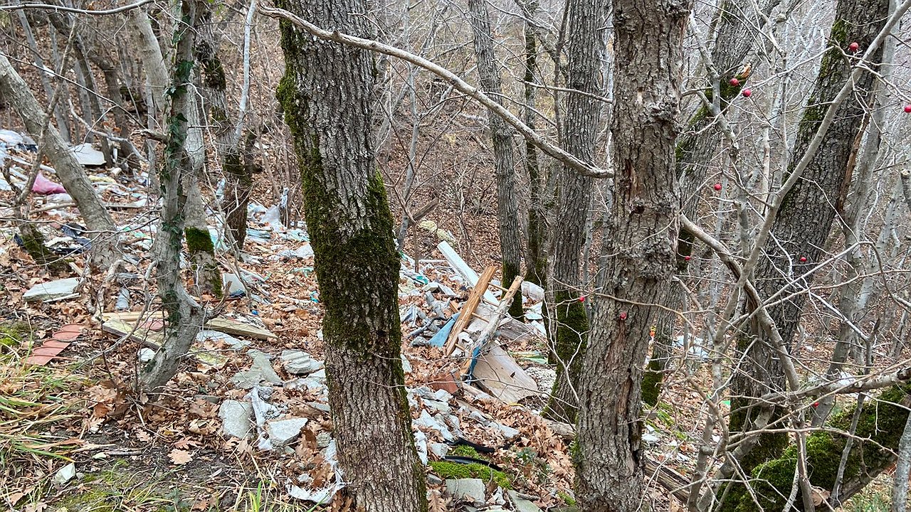 Главная картинка новости: Новороссийцы обнаружили строительный мусор в лесу. Видео
