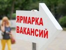 3000 вакансий в различных сферах деятельности предложат горожанам