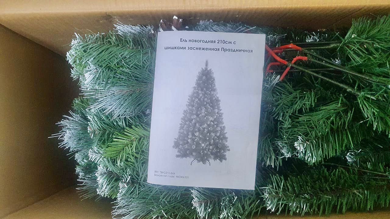 Главная картинка новости: Накануне Нового года приезжий украл у новороссийцев елку