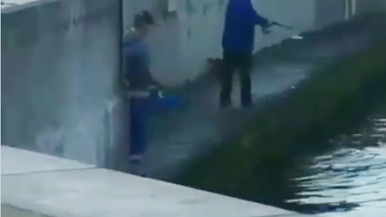 Главная картинка новости: Ловля рыбы на «драчку» на набережной Новороссийска попала на видео