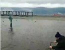 Одну из кормушек для птиц на пляже Новороссийска унесло в воду